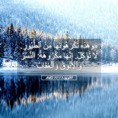 Picture 05 - اَللَّاوِيِّينَ 11:13 AVD - «وَهَذِهِ تَكْرَهُونَهَا - Bible Verse Picture