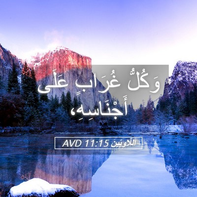 Picture 05 - اَللَّاوِيِّينَ 11:15 AVD - وَكُلُّ غُرَابٍ عَلَى - Bible Verse Picture