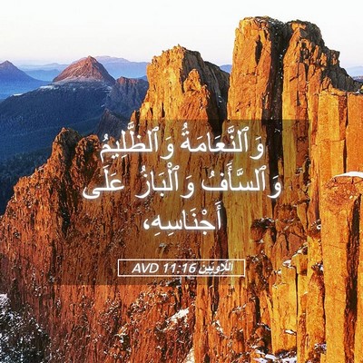 Picture 05 - اَللَّاوِيِّينَ 11:16 AVD - وَٱلنَّعَامَةُ - Bible Verse Picture