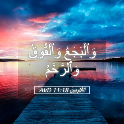 Picture 05 - اَللَّاوِيِّينَ 11:18 AVD - وَٱلْبَجَعُ وَٱلْقُوقُ - Bible Verse Picture