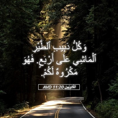 Picture 05 - اَللَّاوِيِّينَ 11:20 AVD - وَكُلُّ دَبِيبِ ٱلطَّيْرِ - Bible Verse Picture