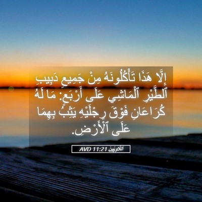 Picture 05 - اَللَّاوِيِّينَ 11:21 AVD - إِلَّا هَذَا - Bible Verse Picture