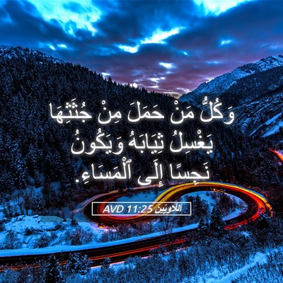 Picture 05 - اَللَّاوِيِّينَ 11:25 AVD - وَكُلُّ مَنْ حَمَلَ مِنْ - Bible Verse Picture