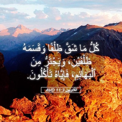 Picture 05 - اَللَّاوِيِّينَ 11:3 AVD - كُلُّ مَا شَقَّ ظِلْفًا - Bible Verse Picture