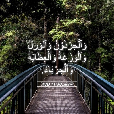 Picture 05 - اَللَّاوِيِّينَ 11:30 AVD - وَٱلْحِرْذَوْنُ - Bible Verse Picture