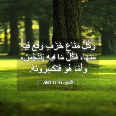 Picture 05 - اَللَّاوِيِّينَ 11:33 AVD - وَكُلُّ مَتَاعِ خَزَفٍ - Bible Verse Picture