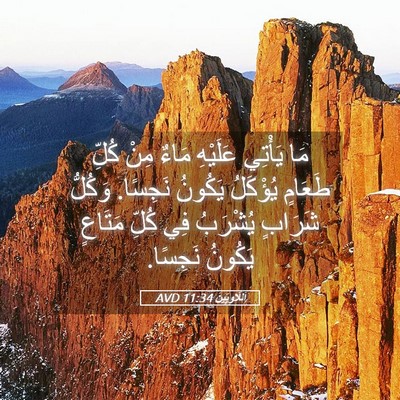 Picture 05 - اَللَّاوِيِّينَ 11:34 AVD - مَا يَأْتِي عَلَيْهِ مَاءٌ - Bible Verse Picture
