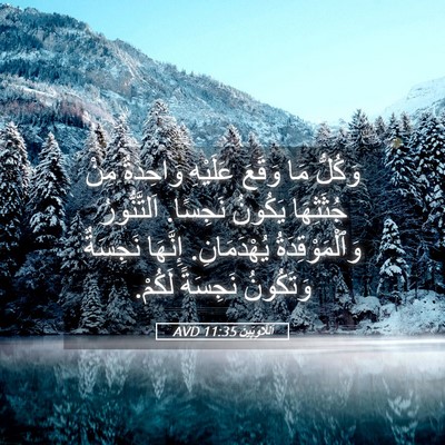 Picture 05 - اَللَّاوِيِّينَ 11:35 AVD - وَكُلُّ مَا وَقَعَ - Bible Verse Picture