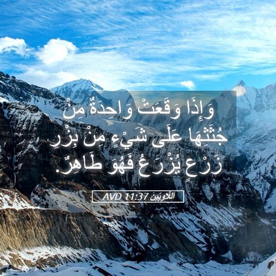Picture 05 - اَللَّاوِيِّينَ 11:37 AVD - وَإِذَا وَقَعَتْ - Bible Verse Picture