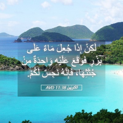 Picture 05 - اَللَّاوِيِّينَ 11:38 AVD - لَكِنْ إِذَا جُعِلَ مَاءٌ - Bible Verse Picture