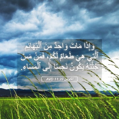 Picture 05 - اَللَّاوِيِّينَ 11:39 AVD - وَإِذَا مَاتَ وَاحِدٌ مِنَ - Bible Verse Picture