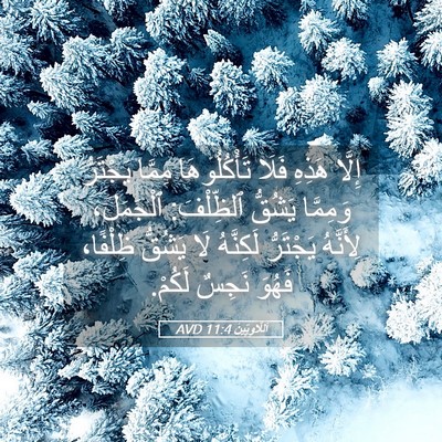 Picture 05 - اَللَّاوِيِّينَ 11:4 AVD - إِلَّا هَذِهِ فَلَا - Bible Verse Picture
