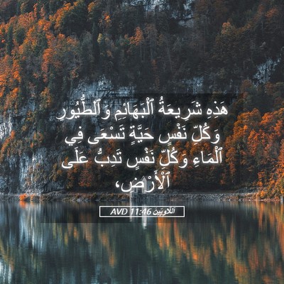 Picture 05 - اَللَّاوِيِّينَ 11:46 AVD - هَذِهِ شَرِيعَةُ - Bible Verse Picture