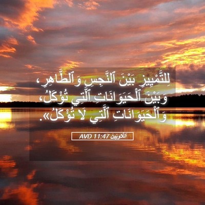 Picture 05 - اَللَّاوِيِّينَ 11:47 AVD - لِلتَّمْيِيزِ بَيْنَ - Bible Verse Picture