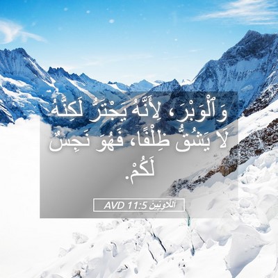 Picture 05 - اَللَّاوِيِّينَ 11:5 AVD - وَٱلْوَبْرَ، لِأَنَّهُ - Bible Verse Picture