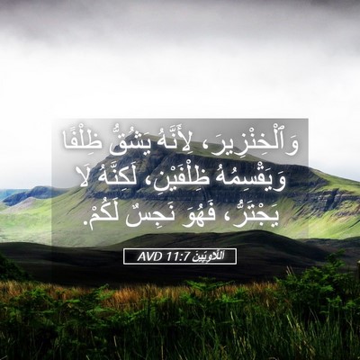 Picture 05 - اَللَّاوِيِّينَ 11:7 AVD - وَٱلْخِنْزِيرَ، لِأَنَّهُ - Bible Verse Picture