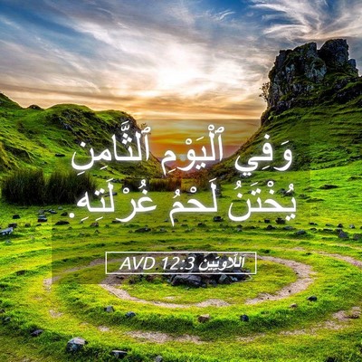 Picture 05 - اَللَّاوِيِّينَ 12:3 AVD - وَفِي ٱلْيَوْمِ - Bible Verse Picture