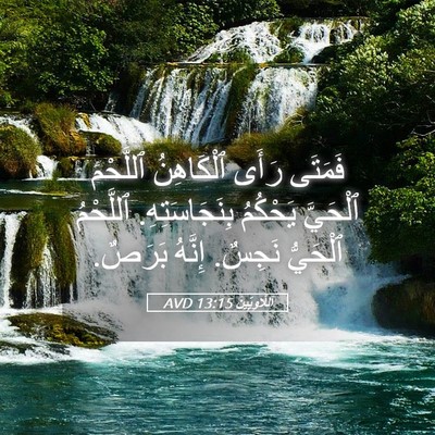 Picture 05 - اَللَّاوِيِّينَ 13:15 AVD - فَمَتَى رَأَى ٱلْكَاهِنُ - Bible Verse Picture