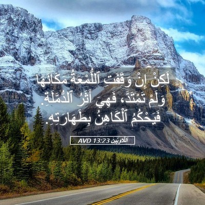 Picture 05 - اَللَّاوِيِّينَ 13:23 AVD - لَكِنْ إِنْ وَقَفَتِ - Bible Verse Picture