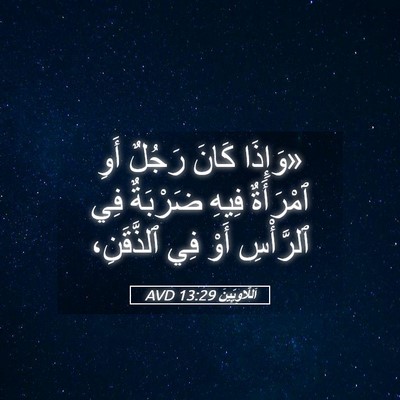 Picture 05 - اَللَّاوِيِّينَ 13:29 AVD - «وَإِذَا كَانَ رَجُلٌ أَوِ - Bible Verse Picture
