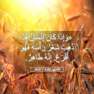 Picture 05 - اَللَّاوِيِّينَ 13:40 AVD - «وَإِذَا كَانَ إِنْسَانٌ - Bible Verse Picture