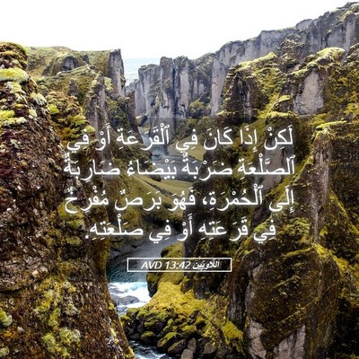 Picture 05 - اَللَّاوِيِّينَ 13:42 AVD - لَكِنْ إِذَا كَانَ فِي - Bible Verse Picture
