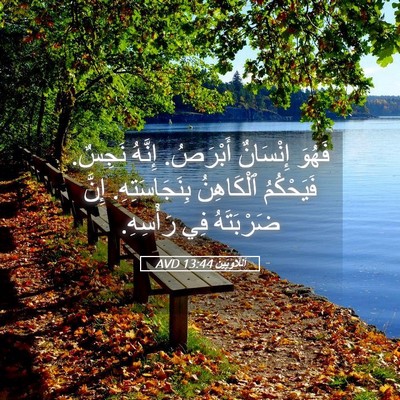 Picture 05 - اَللَّاوِيِّينَ 13:44 AVD - فَهُوَ إِنْسَانٌ أَبْرَصُ. - Bible Verse Picture