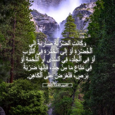 Picture 05 - اَللَّاوِيِّينَ 13:49 AVD - وَكَانَتِ ٱلضَّرْبَةُ - Bible Verse Picture