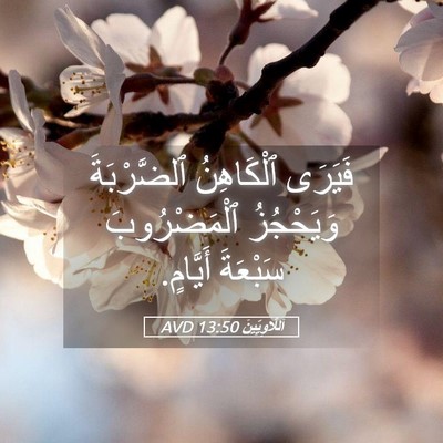 Picture 05 - اَللَّاوِيِّينَ 13:50 AVD - فَيَرَى ٱلْكَاهِنُ - Bible Verse Picture