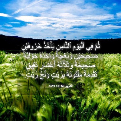 Picture 05 - اَللَّاوِيِّينَ 14:10 AVD - ثُمَّ فِي ٱلْيَوْمِ - Bible Verse Picture