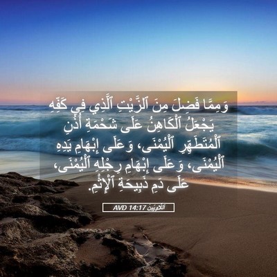 Picture 05 - اَللَّاوِيِّينَ 14:17 AVD - وَمِمَّا فَضِلَ مِنَ - Bible Verse Picture