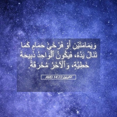 Picture 05 - اَللَّاوِيِّينَ 14:22 AVD - وَيَمَامَتَيْنِ أَوْ - Bible Verse Picture