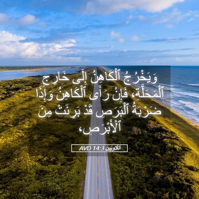 Picture 05 - اَللَّاوِيِّينَ 14:3 AVD - وَيَخْرُجُ ٱلْكَاهِنُ - Bible Verse Picture