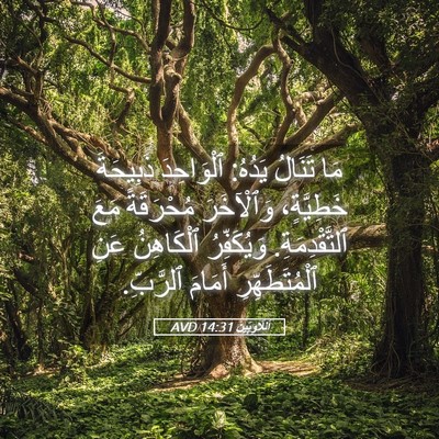Picture 05 - اَللَّاوِيِّينَ 14:31 AVD - مَا تَنَالُ يَدُهُ: - Bible Verse Picture