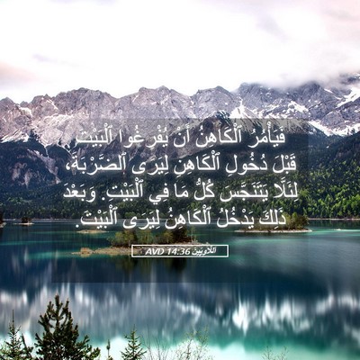 Picture 05 - اَللَّاوِيِّينَ 14:36 AVD - فَيَأْمُرُ ٱلْكَاهِنُ - Bible Verse Picture