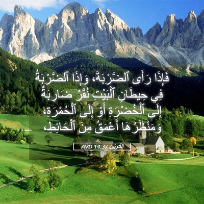 Picture 05 - اَللَّاوِيِّينَ 14:37 AVD - فَإِذَا رَأَى - Bible Verse Picture