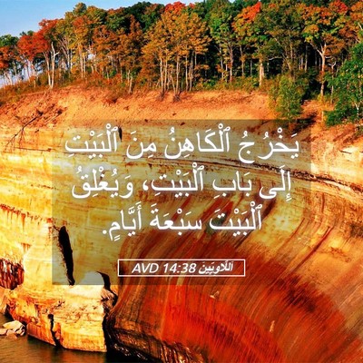 Picture 05 - اَللَّاوِيِّينَ 14:38 AVD - يَخْرُجُ ٱلْكَاهِنُ مِنَ - Bible Verse Picture