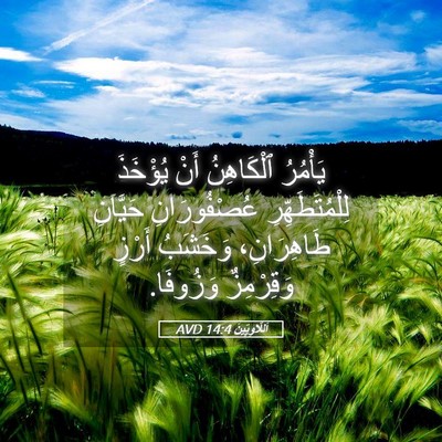 Picture 05 - اَللَّاوِيِّينَ 14:4 AVD - يَأْمُرُ ٱلْكَاهِنُ أَنْ - Bible Verse Picture