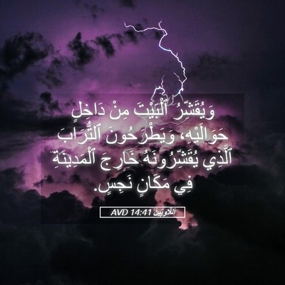 Picture 05 - اَللَّاوِيِّينَ 14:41 AVD - وَيُقَشِّرُ ٱلْبَيْتَ - Bible Verse Picture
