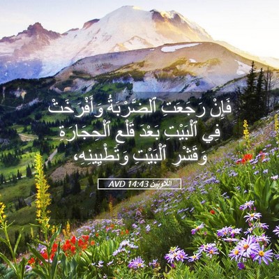Picture 05 - اَللَّاوِيِّينَ 14:43 AVD - فَإِنْ رَجَعَتِ - Bible Verse Picture