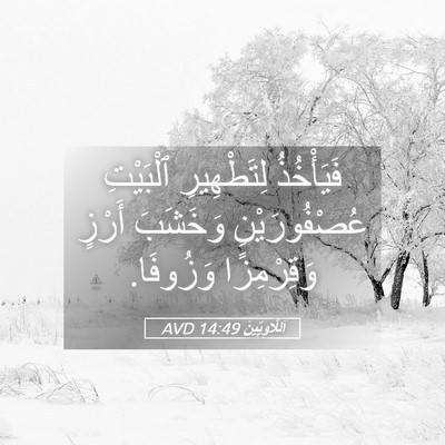 Picture 05 - اَللَّاوِيِّينَ 14:49 AVD - فَيَأْخُذُ لِتَطْهِيرِ - Bible Verse Picture