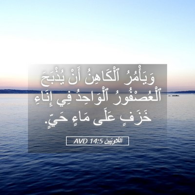 Picture 05 - اَللَّاوِيِّينَ 14:5 AVD - وَيَأْمُرُ ٱلْكَاهِنُ - Bible Verse Picture