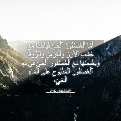 Picture 05 - اَللَّاوِيِّينَ 14:6 AVD - أَمَّا ٱلْعُصْفُورُ - Bible Verse Picture