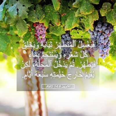 Picture 05 - اَللَّاوِيِّينَ 14:8 AVD - فَيَغْسِلُ ٱلْمُتَطَهِّرُ - Bible Verse Picture
