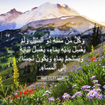 Picture 05 - اَللَّاوِيِّينَ 15:11 AVD - وَكُلُّ مَنْ مَسَّهُ ذُو - Bible Verse Picture