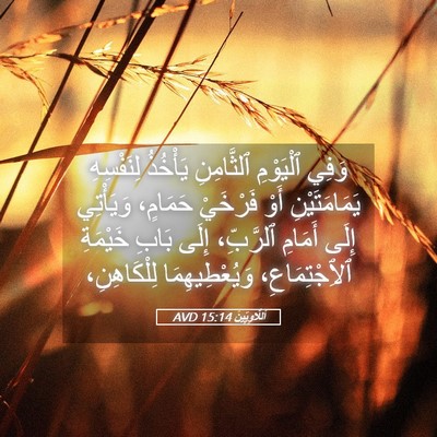 Picture 05 - اَللَّاوِيِّينَ 15:14 AVD - وَفِي ٱلْيَوْمِ - Bible Verse Picture