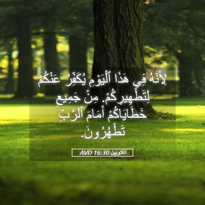 Picture 05 - اَللَّاوِيِّينَ 16:30 AVD - لِأَنَّهُ فِي هَذَا - Bible Verse Picture