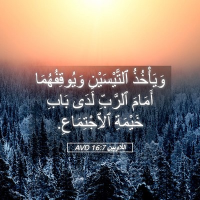Picture 05 - اَللَّاوِيِّينَ 16:7 AVD - وَيَأْخُذُ ٱلتَّيْسَيْنِ - Bible Verse Picture