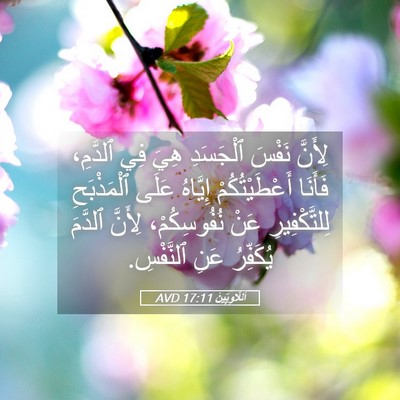 Picture 05 - اَللَّاوِيِّينَ 17:11 AVD - لِأَنَّ نَفْسَ ٱلْجَسَدِ - Bible Verse Picture