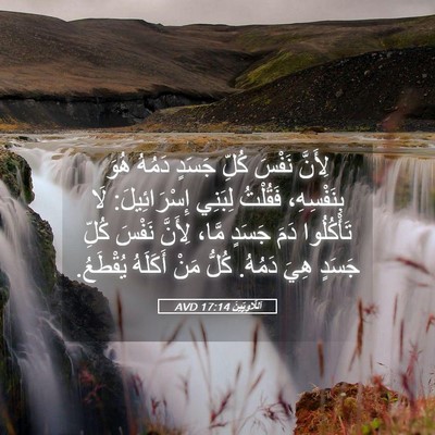 Picture 05 - اَللَّاوِيِّينَ 17:14 AVD - لِأَنَّ نَفْسَ كُلِّ - Bible Verse Picture